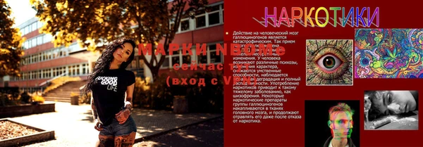 стаф Сосновоборск