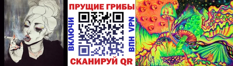 Купить где  Советская Гавань  Псилоцибиновые грибы MAGIC MUSHROOMS 